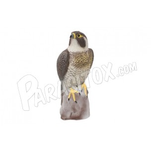 http://www.parasitox.com/1089-thickbox_default/effaroucheur-visuel-faucon-synthetique-anti-oiseaux.jpg