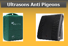 Ultrason anti pigeons