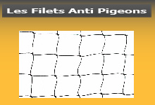 Filet anti pigeons