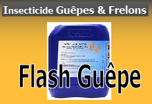 insecticide anti gupes et frelons