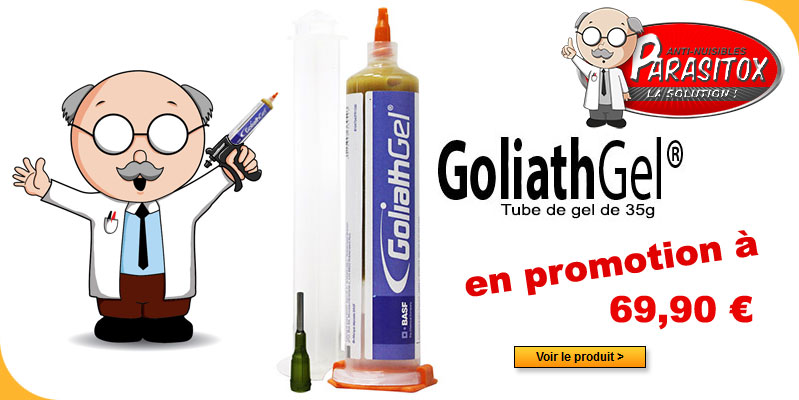 Goliath gel en promotion sur