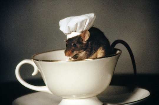 souris ratatouille